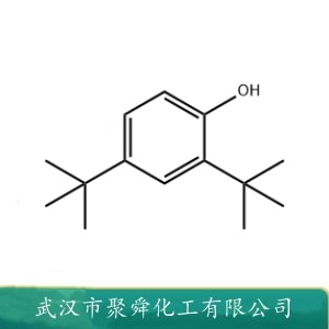 2,4-二叔丁基苯酚 96-76-4 用作抗氧剂 紫外线吸收剂等 