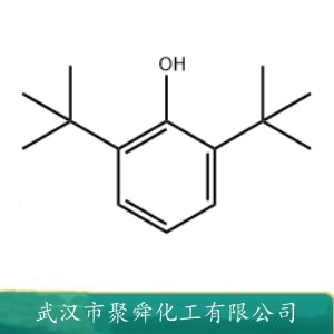 2,6-二叔丁基苯酚 128-39-2 橡胶及合成胶防老剂 塑料抗氧剂