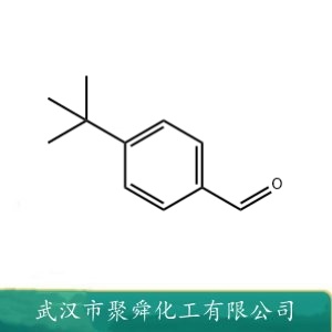 对叔丁基苯甲醛 939-97-9 用于合成香料 染料等