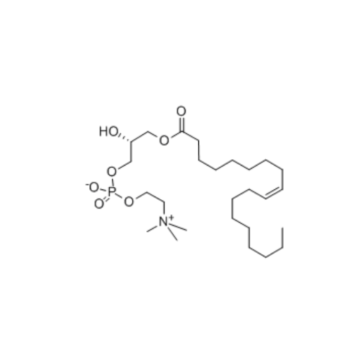 1 - 油酰-SN-甘油-3 - 磷酸胆碱
