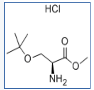 114-97-5  H-SER(TBU)-OME·HCL