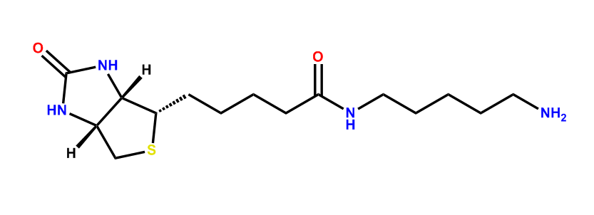 生物素-氨基