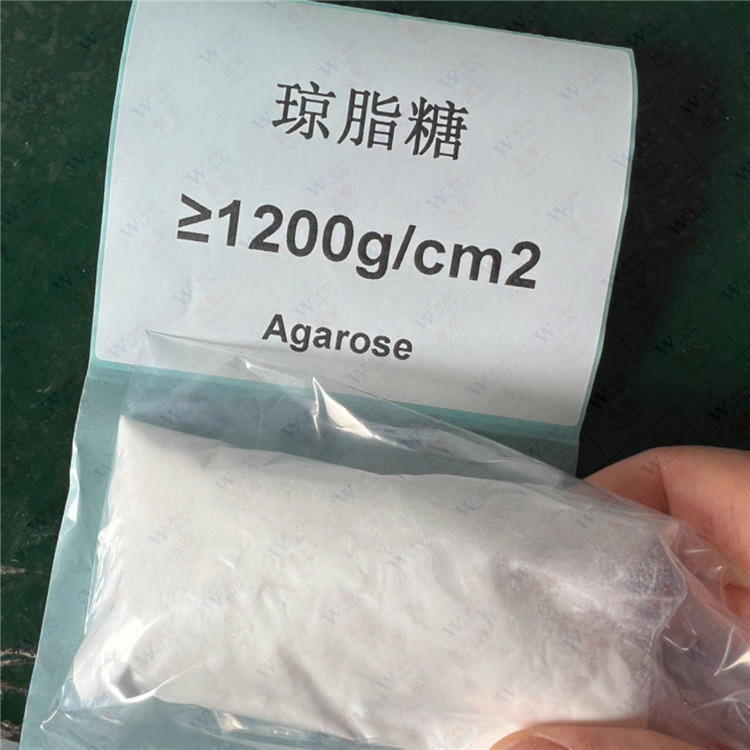 琼脂糖 9012-36-6 Agarose 多种凝胶强度规格