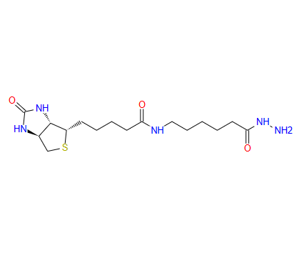 （+）-生物素酰胺己酰肼  109276-34-8
