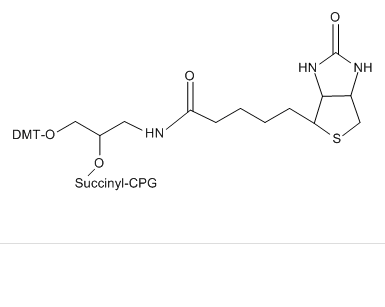 DMT-C3(Biotin)-CPG; 1000 ? 