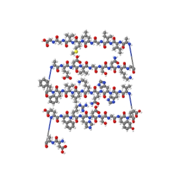 β-淀粉样肽（1-38）（Aβ38） 131438-74-9