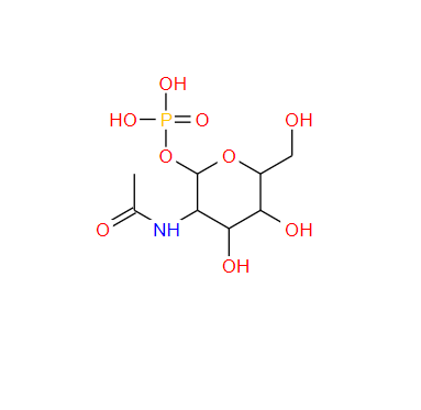 901851-43-2 N-乙酰葡糖胺-1-磷酸