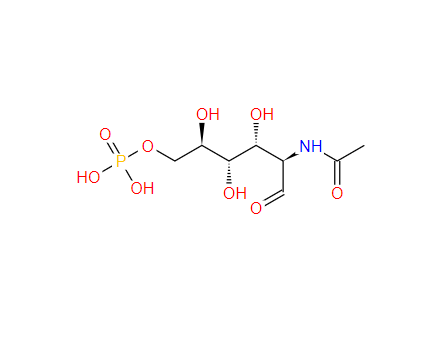 1746-32-3 N-乙酰葡糖胺-6-磷酸