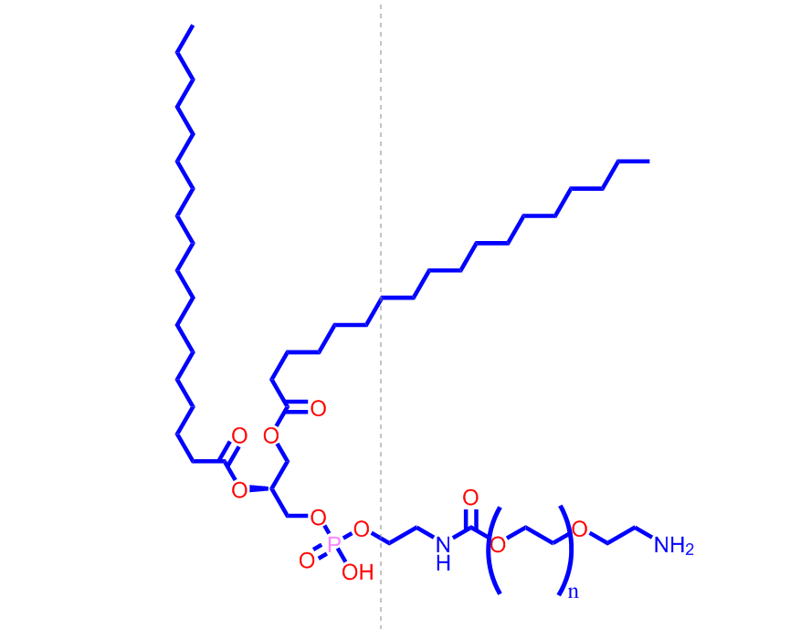 二硬脂酰基磷脂酰乙醇胺-聚乙二醇-氨基，	474922-26-4