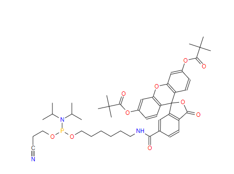 204697-37-0 5'-荧光素氨基磷酸酯