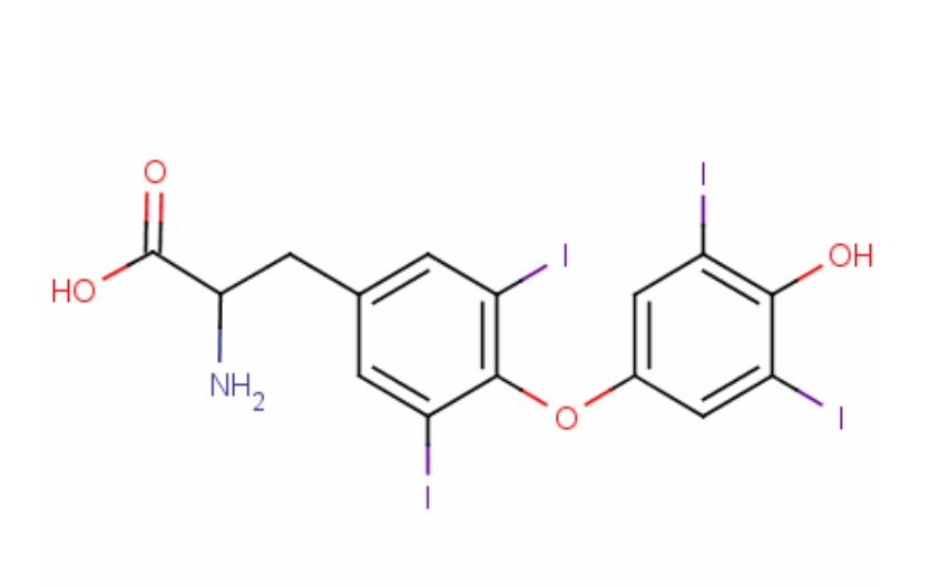 51-48-9 L-甲状腺素 L-Thyroxine