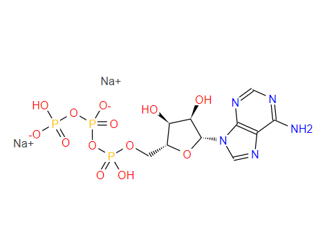 51763-61-2 腺苷-5’-三磷酸二钠盐