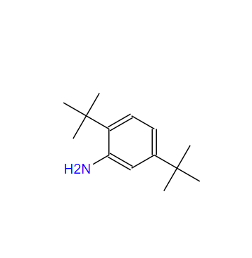 21860-03-7 2,5-二叔丁基苯胺