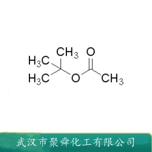 乙酸叔丁酯 540-88-5 溶剂 汽油防震剂