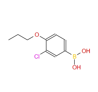 3-氯-4-丙氧基苯硼酸 480438-57-1