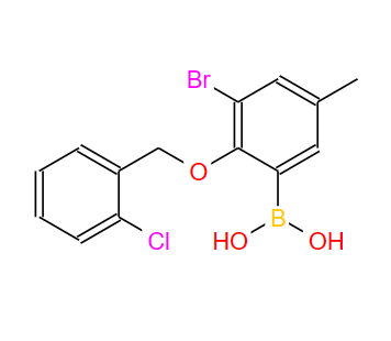 849052-17-1;3-溴-2-(2′-氯苯氧基)-5-甲基苯基硼酸;3-Bromo-2-(2′-chlorobenzyloxy)-5-methylphenylboronic acid