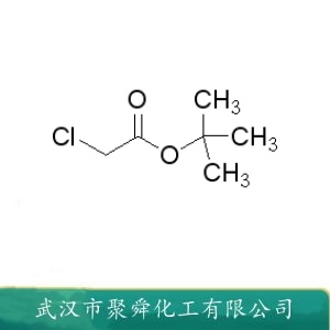 氯乙酸叔丁酯 107-59-5 染料中间体