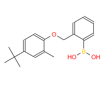 1072951-76-8;2-[(4′-叔丁基-2′-甲基苯氧基)甲基]苯硼酸;2-[(4-tert-Butyl-2-methylphenoxy)methyl]phenylboronicacid