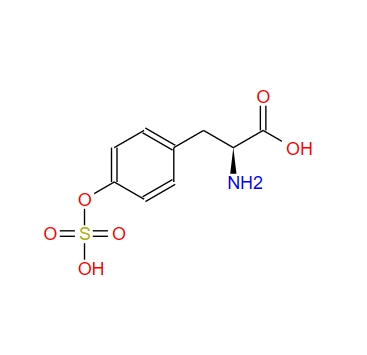 酪氨酸硫酸氢酯 146386-55-2