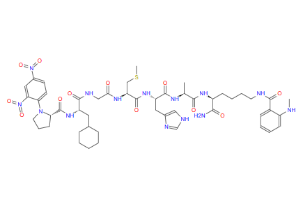 150956-92-6；基质金属蛋白酶-1(MMP-1)/MMP-9荧光底物多肽；MMP-1/MMP-9 Substrate, Fluorogenic
