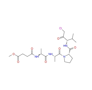 MeOSuc-Ala-Ala-Pro-Val-chloromethylketone 65144-34-5