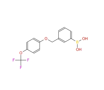 3-[[4′-(三氟甲氧基)苯氧基]甲基]苯硼酸 849062-06-2