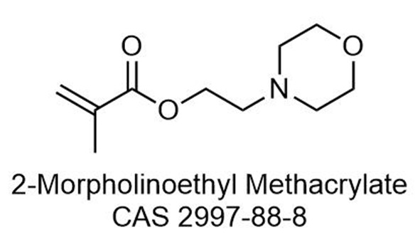 2-N-吗啉乙基甲基丙烯酸酯  CAS 2997-88-8  2-Morpholinoethyl Methacrylate