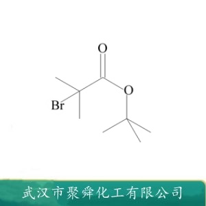 2-溴代异丁酸叔丁酯 23877-12-5 中间体