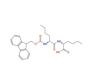 Fmoc-Nle-Nle-OH 251316-91-3