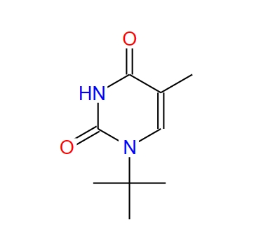 1-tert-butylthymine 76849-31-5