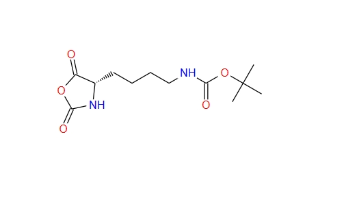 (S)-(4-(2,5-二氧杂噁唑烷丁-4-基)丁基)氨基甲酸叔丁酯