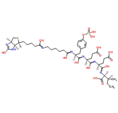 SH2 Domain Ligand (5);Biotin-LC-pY-EEI 201422-05-1