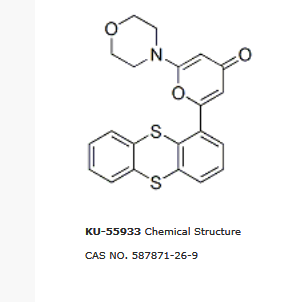 KU-55933|KU55933 (ATM抑制剂)