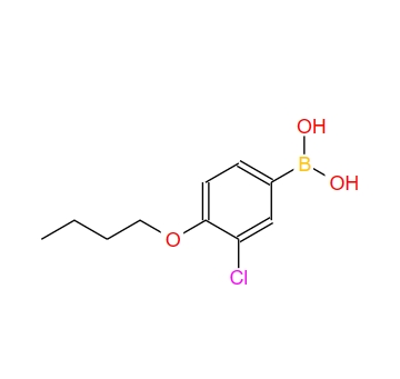 4-丁氧基-3-氯苯基硼酸 480438-55-9