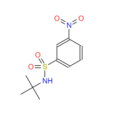N-叔丁基-3-硝基苯磺酰胺