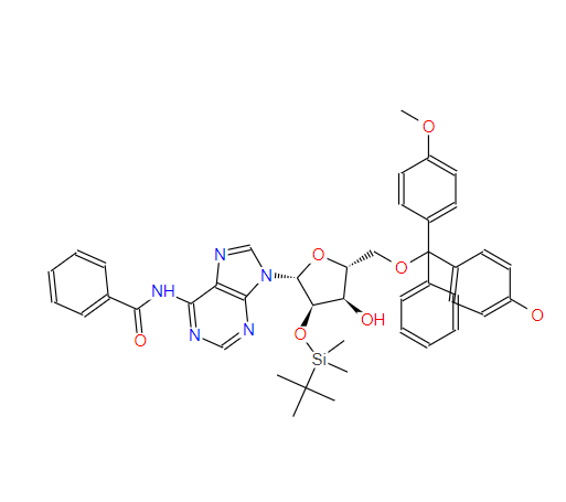 81265-93-2 5'-DMT-2'-TBDMS-BZ-RA