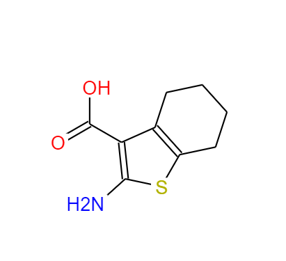 2-氨基-4,5,6,7-四氢苯并[B]噻吩-3-羧酸