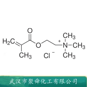 甲基丙烯酰氧乙基三甲基氯化铵 5039-78-1 抗静电涂料 造纸助剂