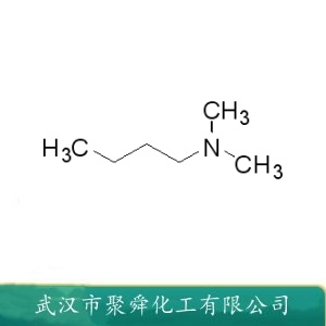 N,N-二甲基丁胺 927-62-8 中间体