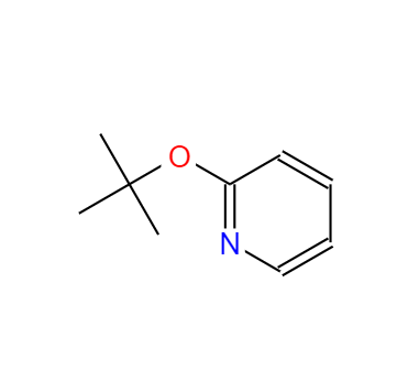 2-(叔丁氧基)吡啶