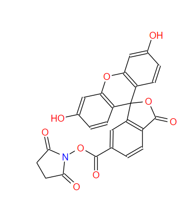 92557-81-8 6-羧基荧光素琥珀酰亚胺酯