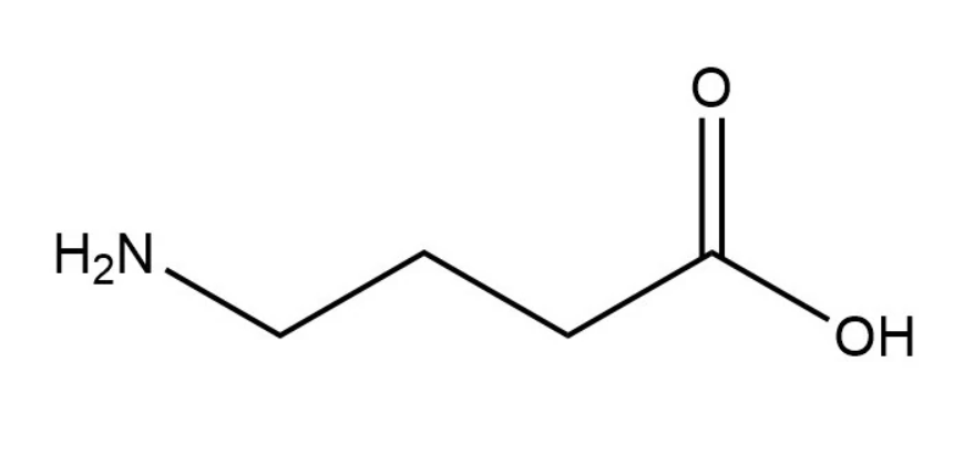 GABA/γ-氨基