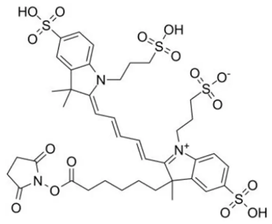 407627-61-6，AF647-NHS ester triTEA，一种蓝色到深蓝色固体