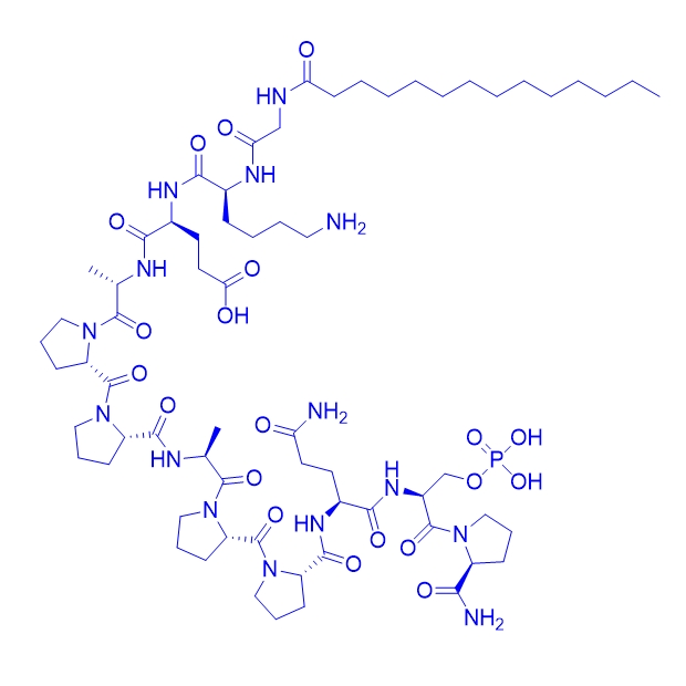 肽抑制剂多肽Myristoylated L 803/1043881-55-5/L803-mts