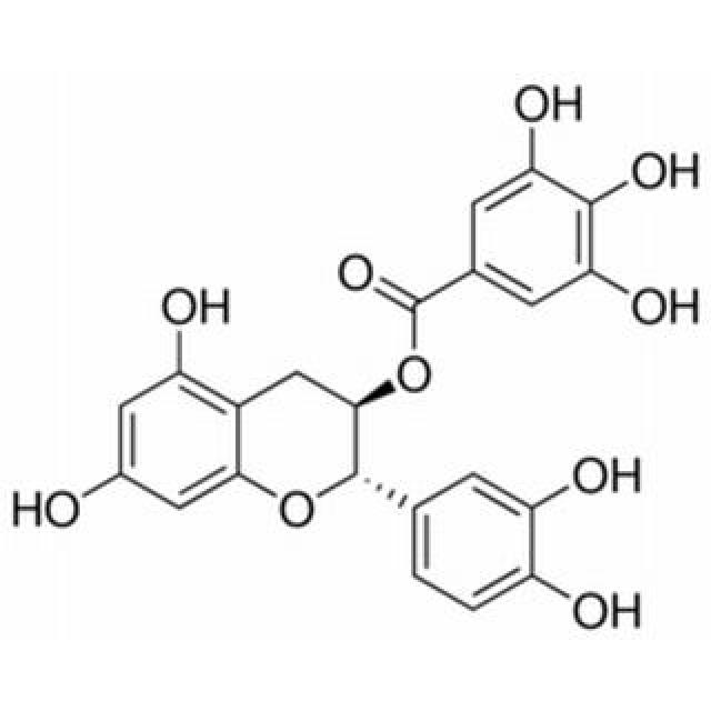 表儿茶素没食子酸酯