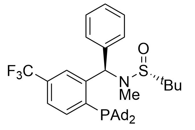 [S(R)]-N-[(R)-(5-三氟甲基)[2-(二金刚烷基膦)苯基]甲基]-N-甲基-2-叔丁基亚磺酰胺