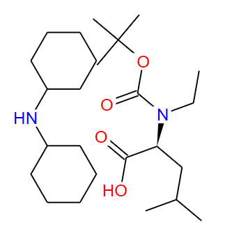 200936-83-0;2-(BOC--乙基-氨基)-4-甲基-戊酸二环己胺;BOC-N-ET-LEU-OH DCHA