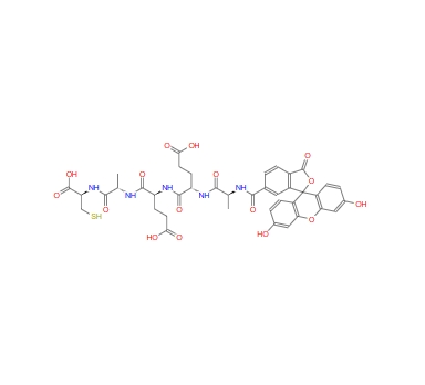 6-FAM-AEEAc-Stichodactyla helianthus Neurotoxin (ShK) 1927927-42-1