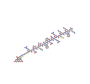 FITC-εAhx-Antennapedia Homeobox (43-58) amide 1118750-35-8