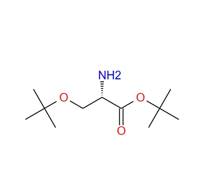 (S)-2-氨基-3-叔丁氧基丙酸叔丁酯 48067-24-9